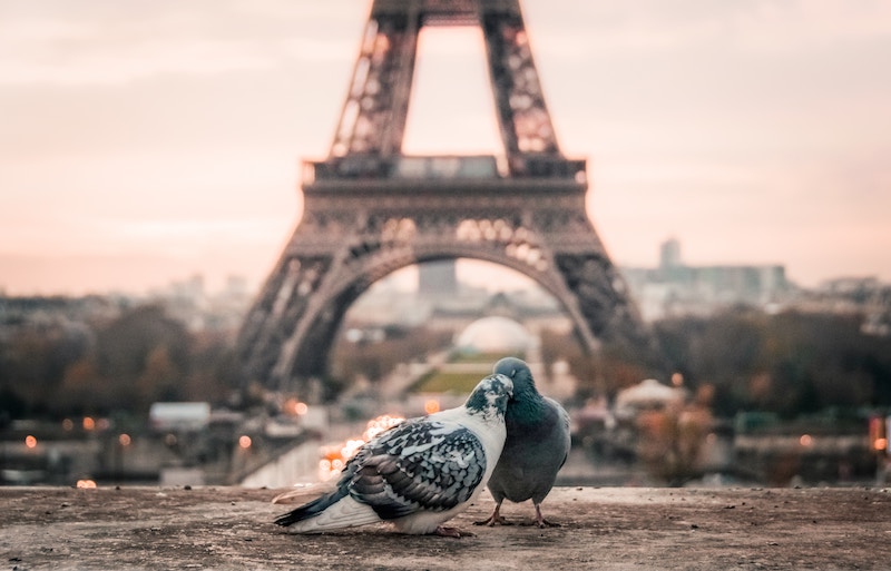 globedge-travel-paris-eiffel-tower-love